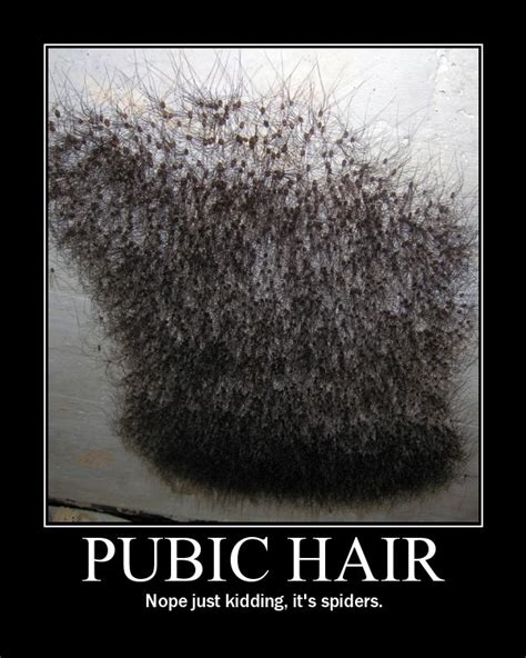 hairy bush women|Category : Pubic hair (female) by color .